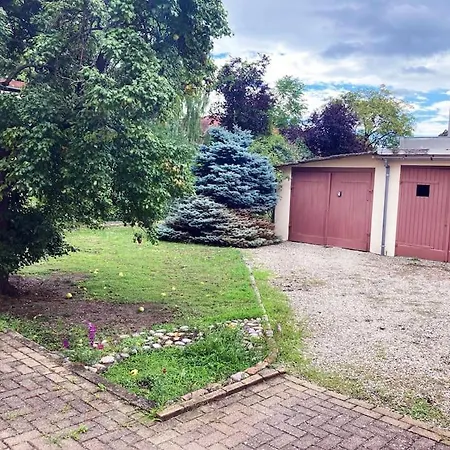 Apartment T3 Proche Du Centre-ville *